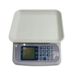 Electronic Scale